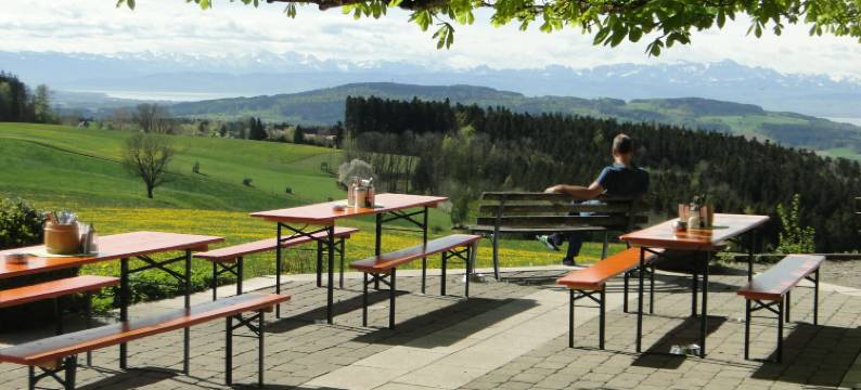 贝加尔斯霍夫至尊酒店(Berggasthof Höchsten)图片