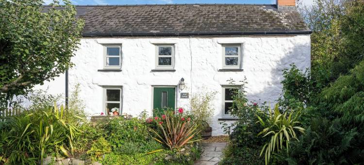 蕨类小屋酒店(Fern Cottage)图片