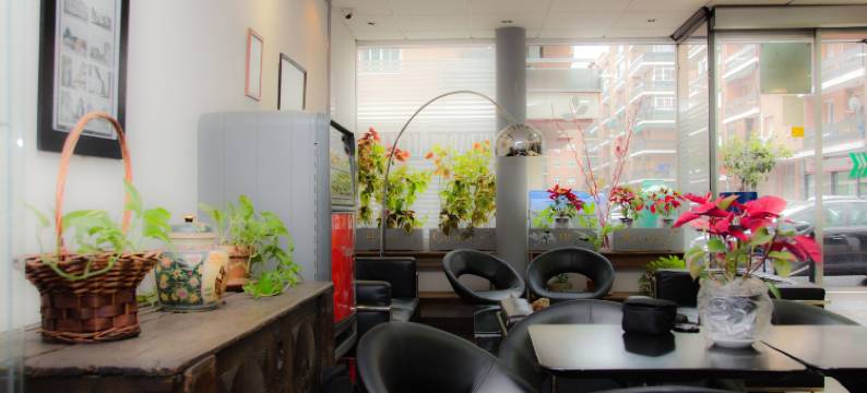 阿尔卡拉城住宿(Ciudad de Alcala)图片