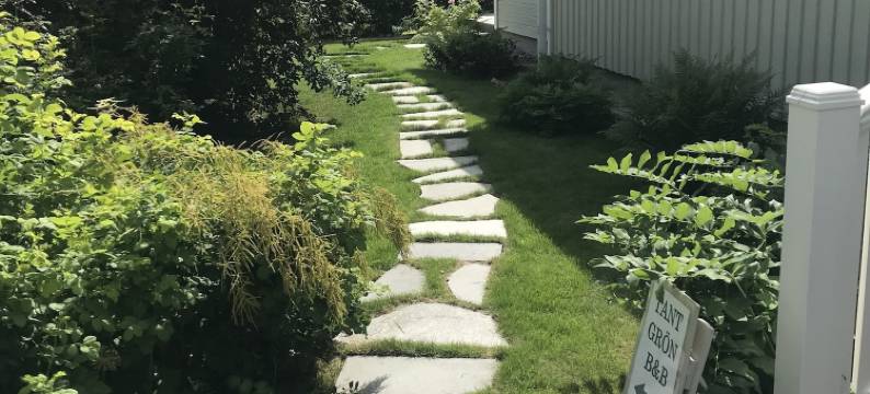 坦菲朗民宿(Tant Grön B&B)图片