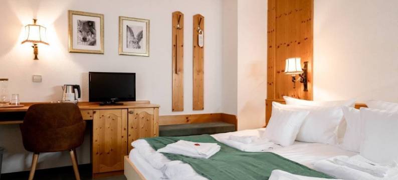 Zum See酒店(Hotel Zum See, Titisee)图片