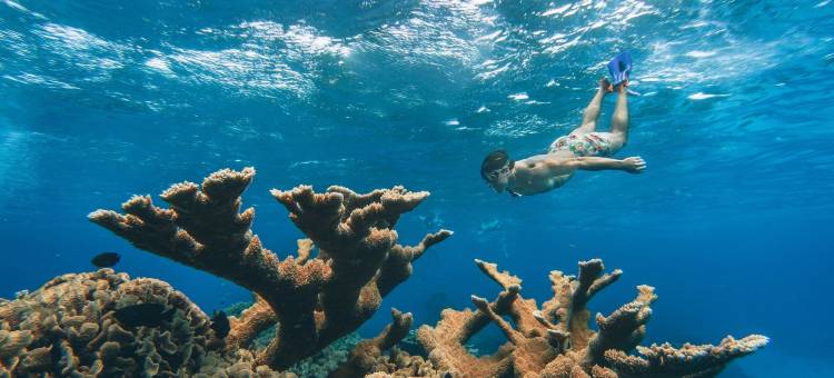 科苏梅尔埃克斯普罗恩全包度假村(The Explorean Cozumel All Inclusive)图片