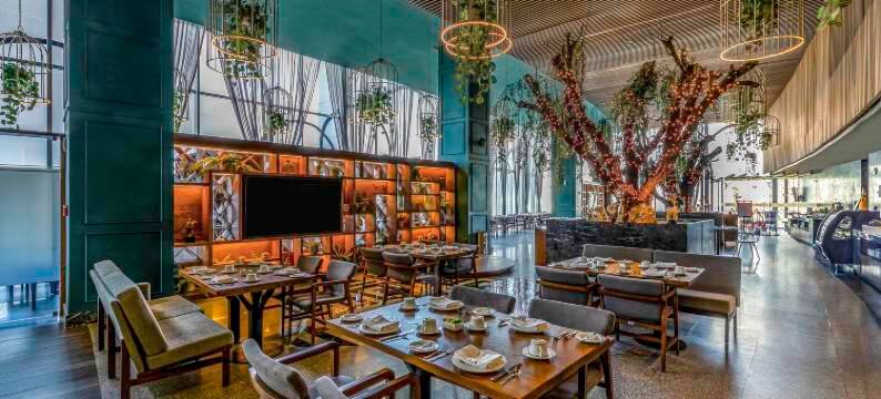 圣路易波托西美洲嘉年华酒店(Fiesta Americana San Luis Potosi)图片