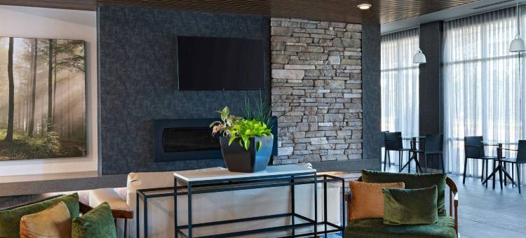 Fairfield Inn & Suites St. Louis Downtown图片