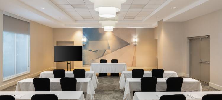 代托纳比奇海滨希尔顿花园酒店(Hilton Garden Inn Daytona Beach Oceanfront)图片