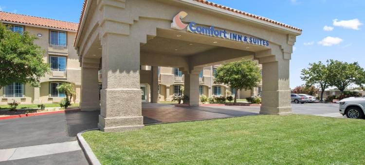 兰开斯特羚羊谷舒适套房酒店(Comfort Inn & Suites Lancaster Antelope Valley)图片