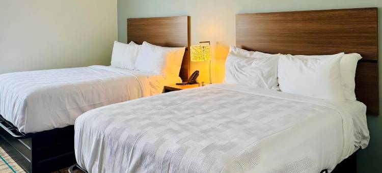 钱伯斯堡凯悦嘉轩套房(MainStay Suites Chambersburg)图片