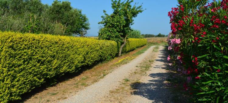 阿格里亚尔贝戈 卡帕尔比奥 拉苏格雷拉(Agrialbergo la Sugherella)图片
