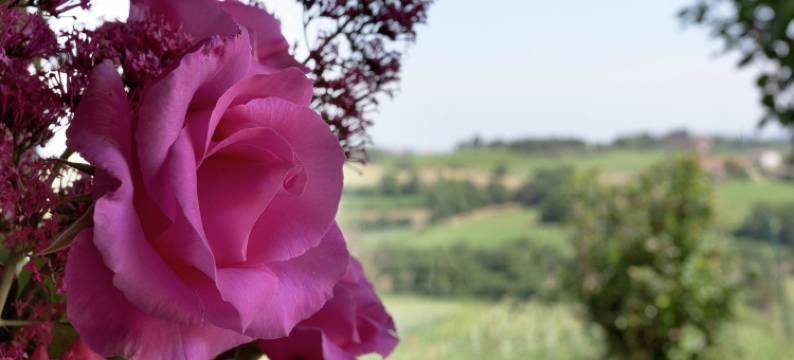 Rustic Charm, Modern Comfort图片