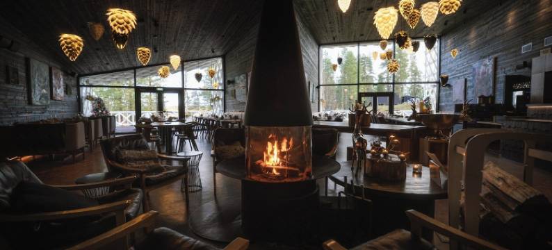 北极树屋酒店(Arctic TreeHouse Hotel)图片