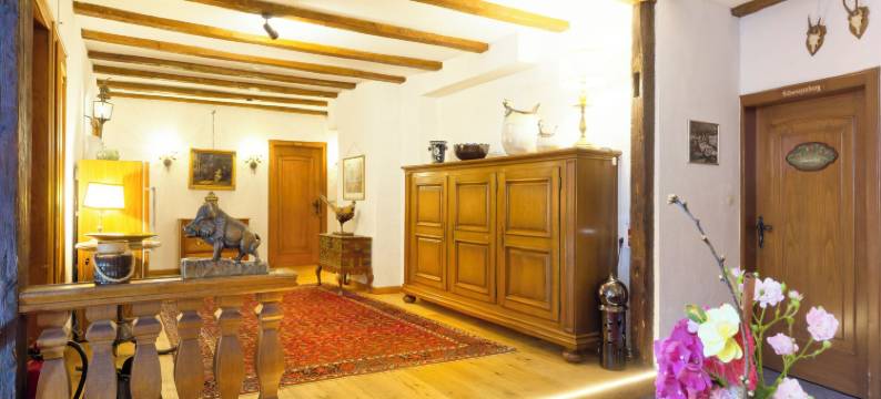 阿德勒酒店旅馆(Hotel Gasthaus Adler)图片