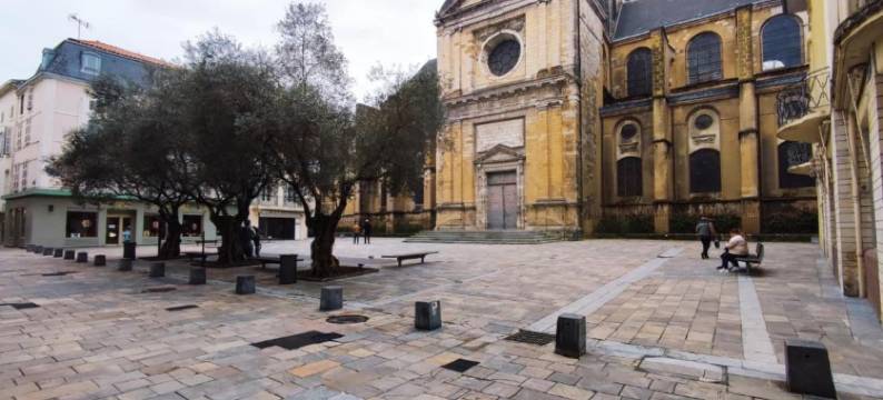 Relaxing Garden Retreat in Dax图片