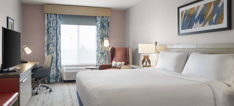 阿尔伯克基机场希尔顿花园酒店(Hilton Garden Inn Albuquerque-Airport)图片