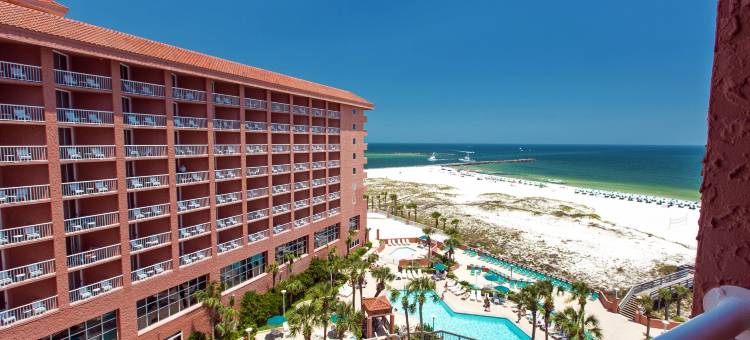 珀迪多基海滩度假村(Perdido Beach Resort)图片