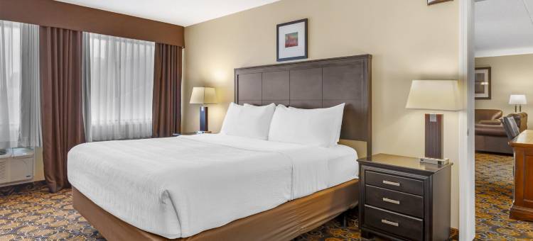 柴登贝斯特韦斯特优质酒店及会议中心(Best Western Plus Dryden Hotel  Conference Centre)图片