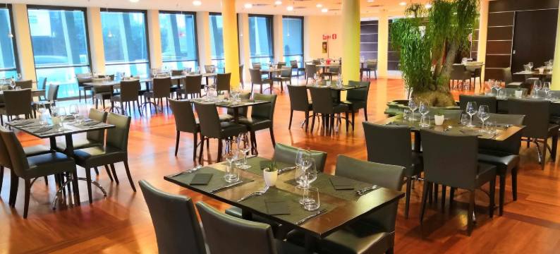 罗马列奥纳多·达芬奇机场美居酒店(Mercure Rome Leonardo da Vinci Airport)图片