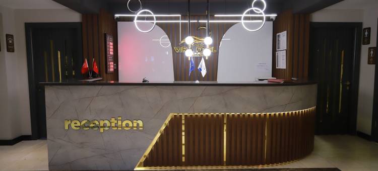 Vira酒店套房(Vira Otel Suites)图片