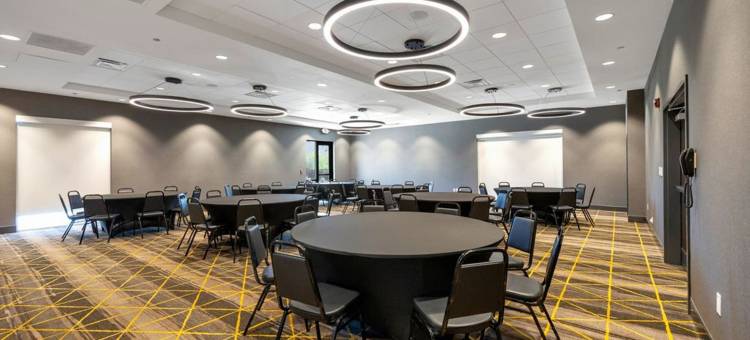 芝加哥廷利公园洲际假日酒店(Holiday Inn Chicago – Tinley Park)图片