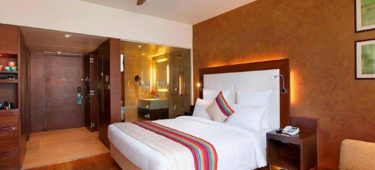 缤旅快捷T P套房酒店(FabHotel TP Suites)图片