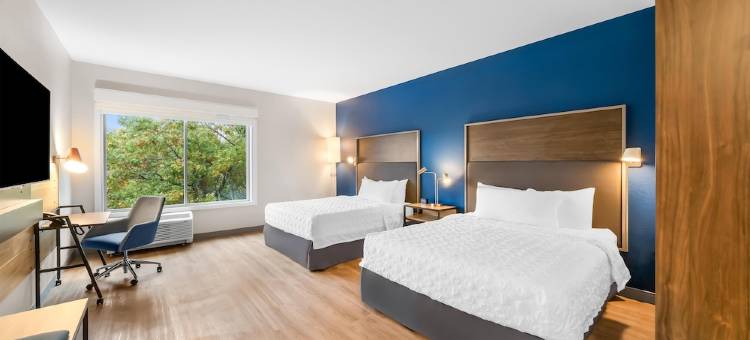 Tru by Hilton Brockton图片