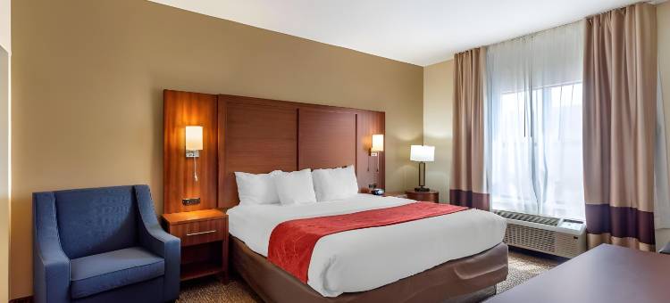 南海文I-55舒适套房酒店(Comfort Suites Southaven I-55)图片