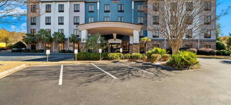 康福特套房辛普森维尔 - 格林维尔(Comfort Suites Simpsonville - Greenville)图片