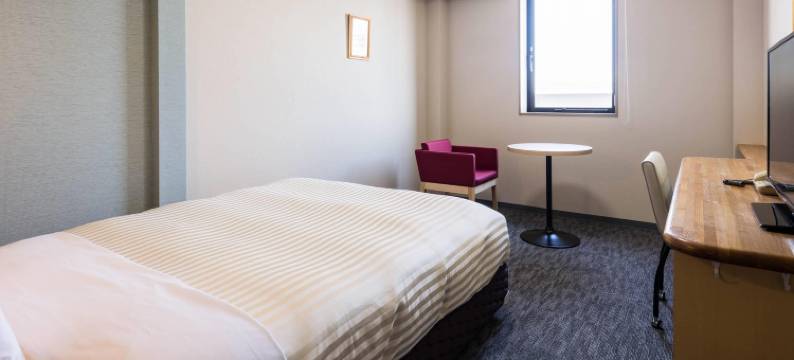 新泻龟田舒适酒店(Comfort Inn Niigata Kameda)图片