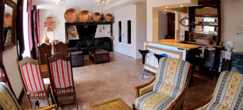 利昂多尔酒店(Hotel du Lion d'Or)图片