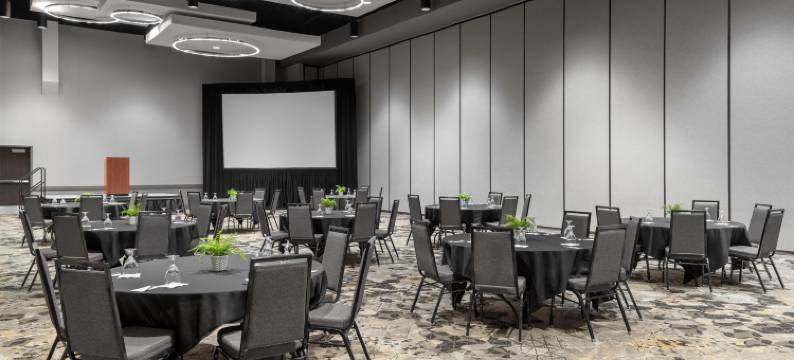 斯普林菲尔德希尔顿逸林酒店(DoubleTree by Hilton Hotel Springfield)图片