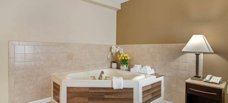 凯艺酒店(Quality Inn North Conway)图片