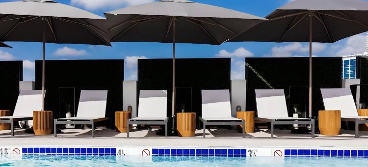 比佛利山-蒙特罗斯酒店(Montrose at Beverly Hills)图片