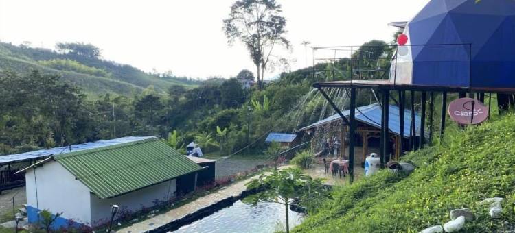 豪华露营马场(Hotel Glamping Horse)图片