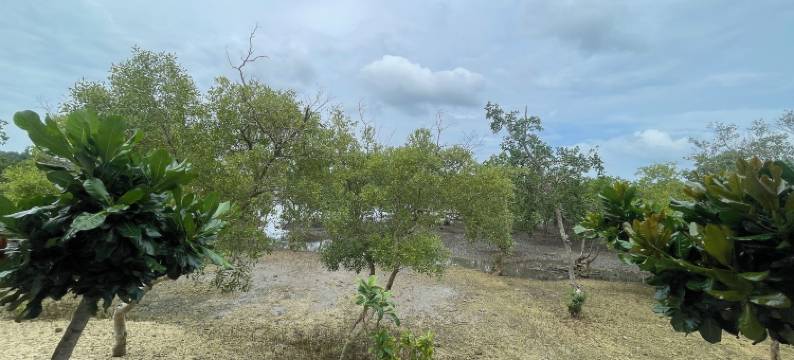 VillaMar度假村 by Hiverooms(VillaMar Resort by Hiverooms)图片