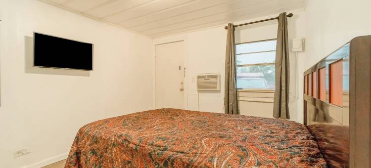 OYO帕勒斯坦Tx Hwy 79预算旅馆(Budget Inn by OYO Palestine TX Hwy 79)图片