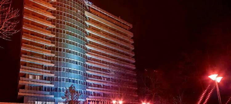 阿拉德大陆酒店(Continental Forum Arad)图片