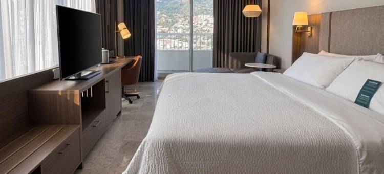 阿卡普尔科阿马雷亚假日酒店，洲际旗下(Holiday Inn Acapulco Amarea by IHG)图片