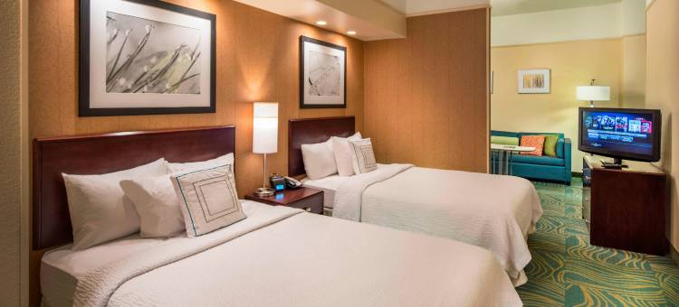 拉雷多万豪SpringHill酒店(SpringHill Suites Laredo)图片