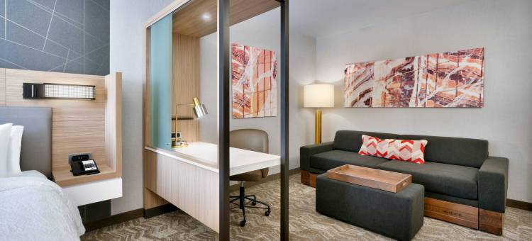 盐湖城糖屋万豪SpringHill Suites酒店(SpringHill Suites Salt Lake City Sugar House)图片