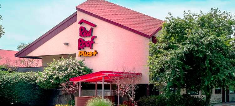 西斯普林菲尔德红顶Plus酒店(Red Roof Plus+ West Springfield)图片