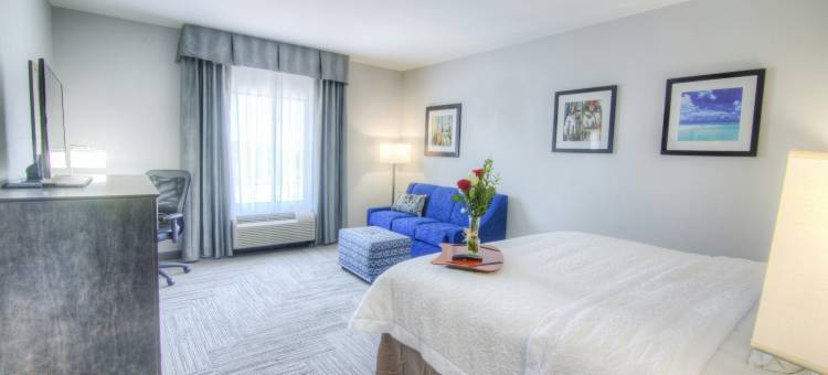 休斯顿I-10东TX欢朋酒店(Hampton Inn Houston I-10 East)图片