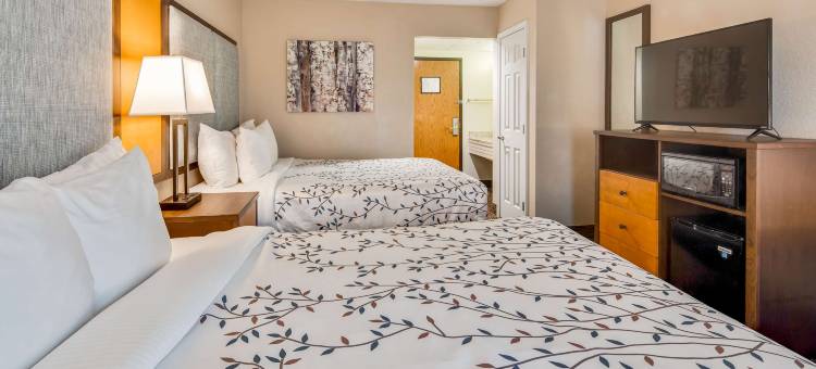 Americinn by Wyndham Birch Run/Frankenmuth(Americinn by Wyndham Birch Run/Frankenmuth)图片