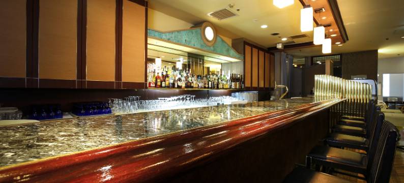 东京新大谷酒店(New Otani Inn Tokyo)图片