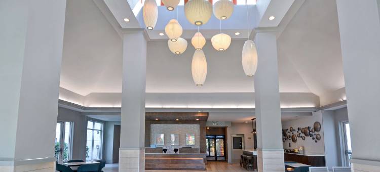 希尔顿花园旅馆-杰克逊维尔橘园(Hilton Garden Inn Jacksonville Orange Park)图片