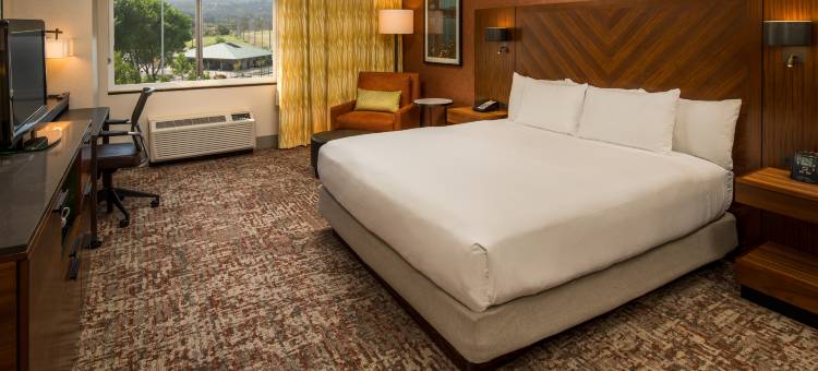 旧金山机场希尔顿逸林酒店(DoubleTree by Hilton San Francisco Airport)图片