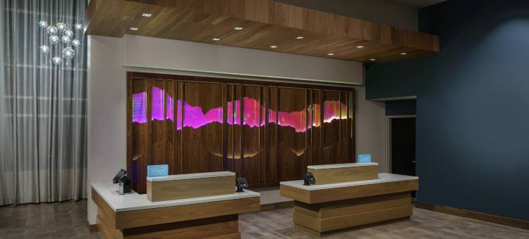 森尼维耳希尔顿花园酒店(Hilton Garden Inn Sunnyvale)图片