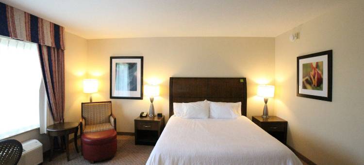 Hilton Garden Inn Elmira/Corning图片