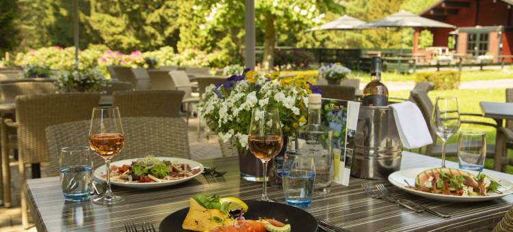 德威普赛尔伯格-维路威餐厅弗莱切酒店(Fletcher Hotel Restaurant de Wipselberg-Veluwe)图片