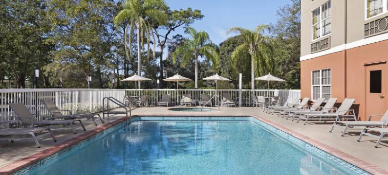 智选假日套房酒店萨拉索塔(Holiday Inn Express & Suites SARASOTA EAST - I-75 by IHG)图片