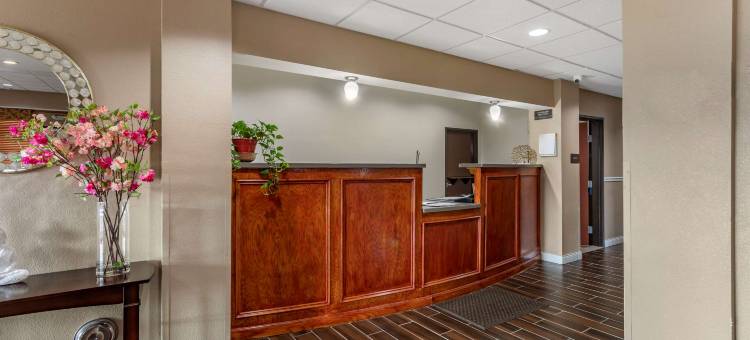 卡尔德本大学区舒适套房酒店(Comfort Inn & Suites Carbondale University Area)图片