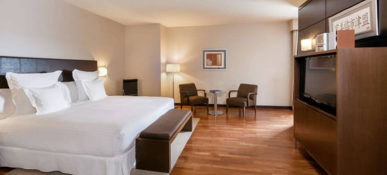 阿兰约兹西方酒店(Occidental Aranjuez)图片